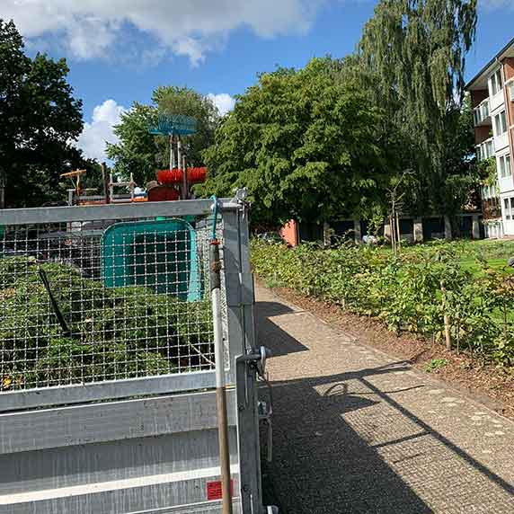 Gartenpflege mit Mäharbeiten und Baumschnitt